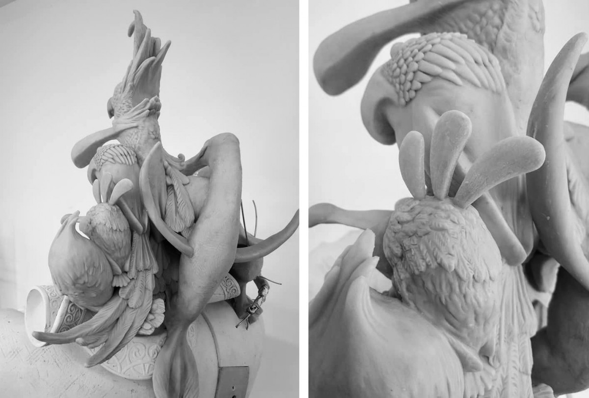 Balbuzard Oiseaux
